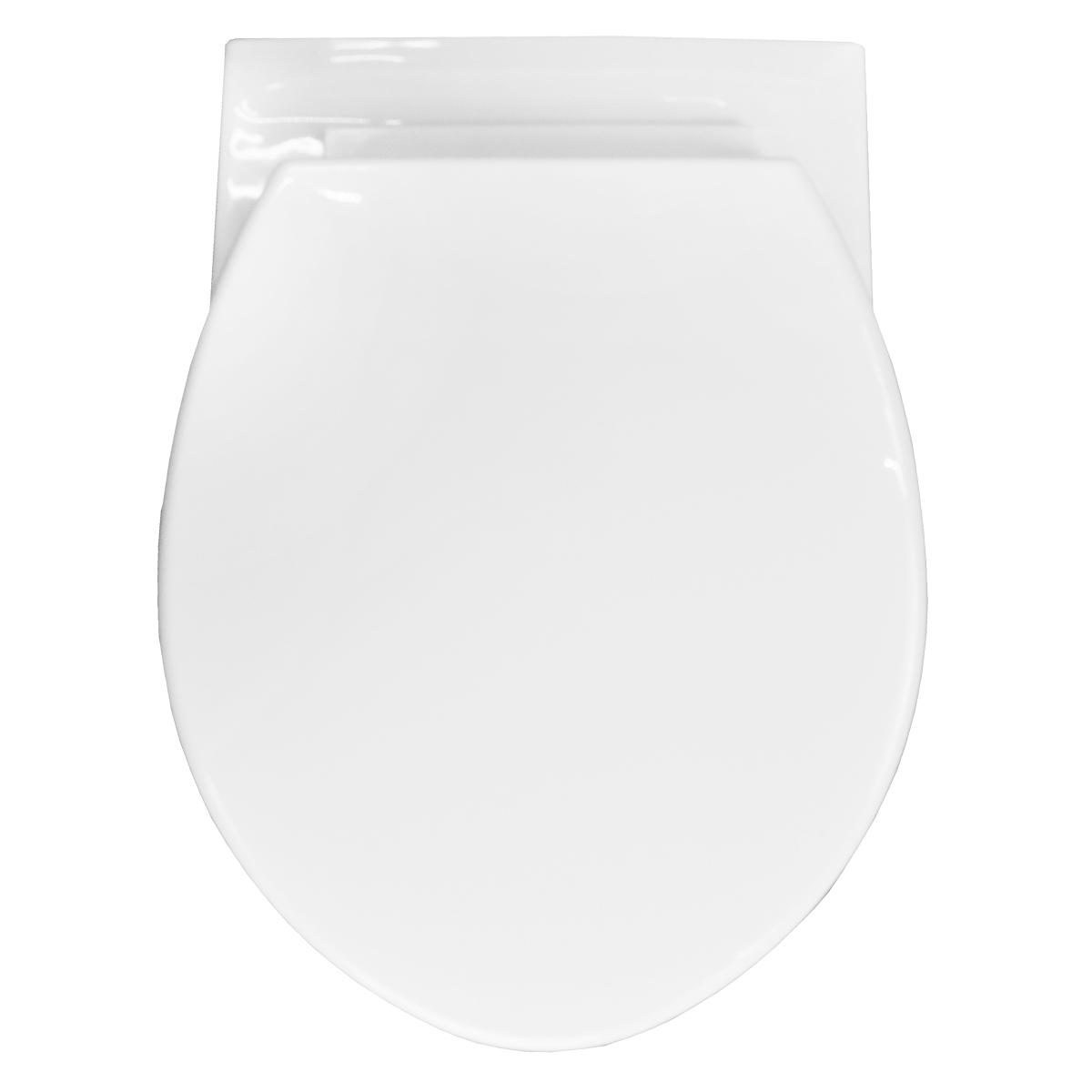 ad028ea5beb0224b316a884484520286.jpg Сет AZARIO инсталляция + Унитаз подвесной PROJECT в комплекте с быстросъемным сиденьем микролифт AZ