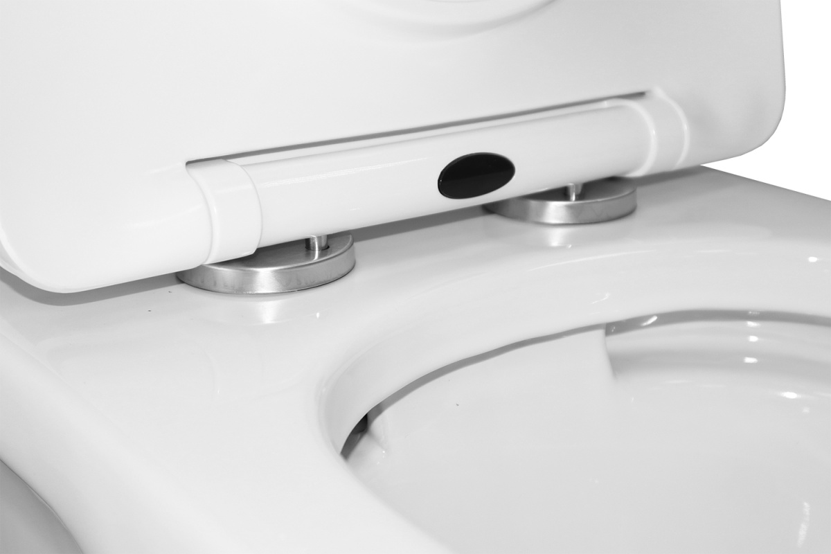 n440h0rual5k0gwgk2e5s95l9oihae9c.jpg Унитаз-компакт AZARIO Ambra 645x370x815 напольный, безободковый, в комплекте сиденьем микролифт AZ-